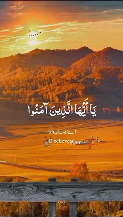 VID-20240518-WA0000