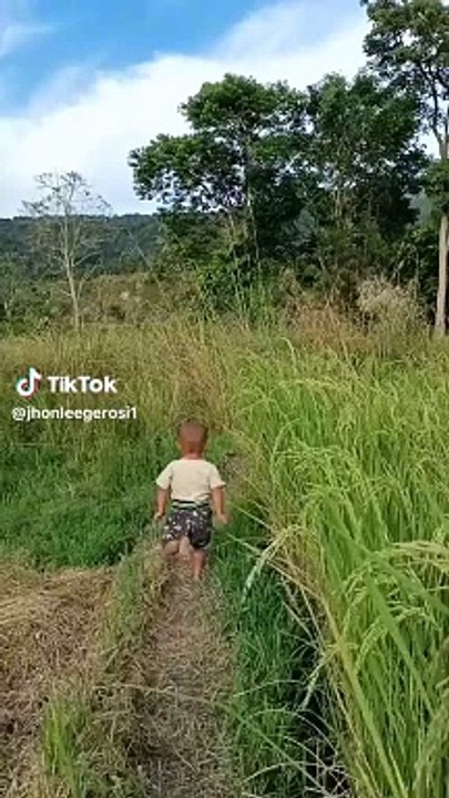 Video lucu anak kecil terjatuh