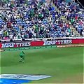Top Best Catches Of Pakistani Players .. Who is Best♥️?. #cricket #cricketlover #abdedits #viral #