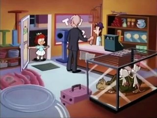 Pinky, Elmyra, and the Brain