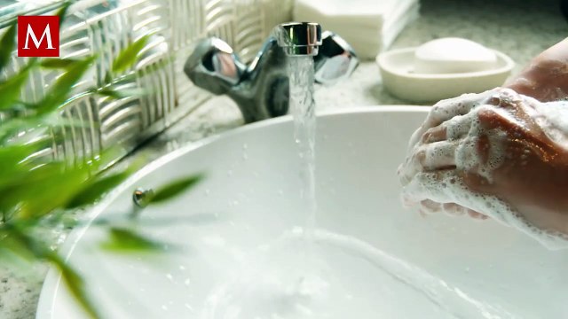 Descubre el mejor jabón de baño de la Fábrica la Corona, según Profeco