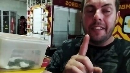 Jiboia é resgatada no norte do PR após 'atravessar' país com caminhão