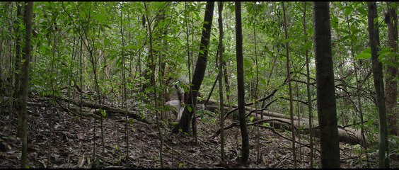 Ela Veezha Poonchira (2022) Malayam Thrillie Movie