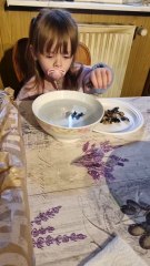 Brumath mes stories du 18 mai 2024 plus inondations