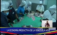 Planta Cumaná Sea Food es líder en el procesamiento de pescado para el mercado internacional