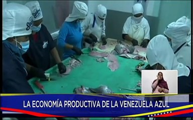 Planta Cumaná Sea Food es líder en el procesamiento de pescado para el mercado internacional