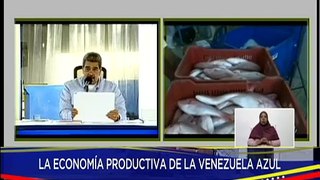 Presidente Maduro: Venezuela exporta 31 especies marinas a 24 países del mundo