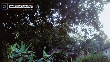 Rosululloh Telah Melarang, 3 Waktu Mandi ini Bisa Berakibat Fatal.