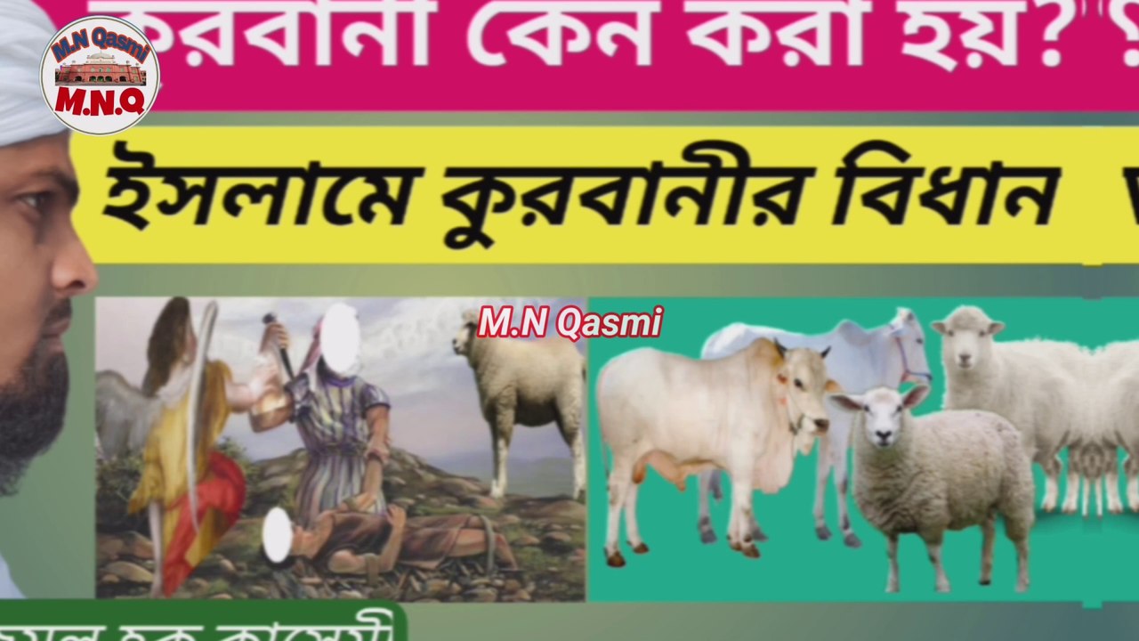 কুরবানী কেন করা হয়? ইসলামের দৃষ্টিতে কুরবানীর বিধান