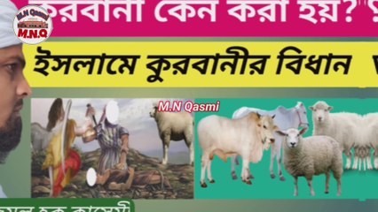 কুরবানী কেন করা হয়? ইসলামের দৃষ্টিতে কুরবানীর বিধান