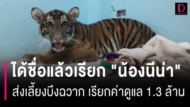 ได้ชื่อแล้วเรียก น้องนีน่า ส่งเลี้ยงบึงฉวาก เรียกค่าดูแล 1.3 ล้าน | HOTSHOT เดลินิวส์ 19/05/67