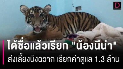 ได้ชื่อแล้วเรียก "น้องนีน่า" ส่งเลี้ยงบึงฉวาก เรียกค่าดูแล 1.3 ล้าน | HOTSHOT เดลินิวส์ 19/05/67