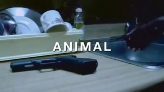 Film Animal HD