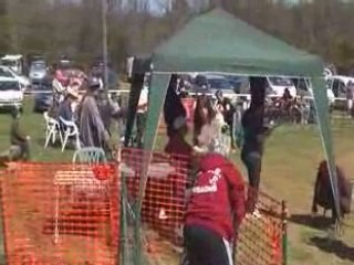 roquefure 06/04/2008 (gpf et jumping)