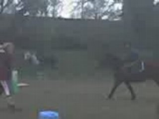 juju  galope