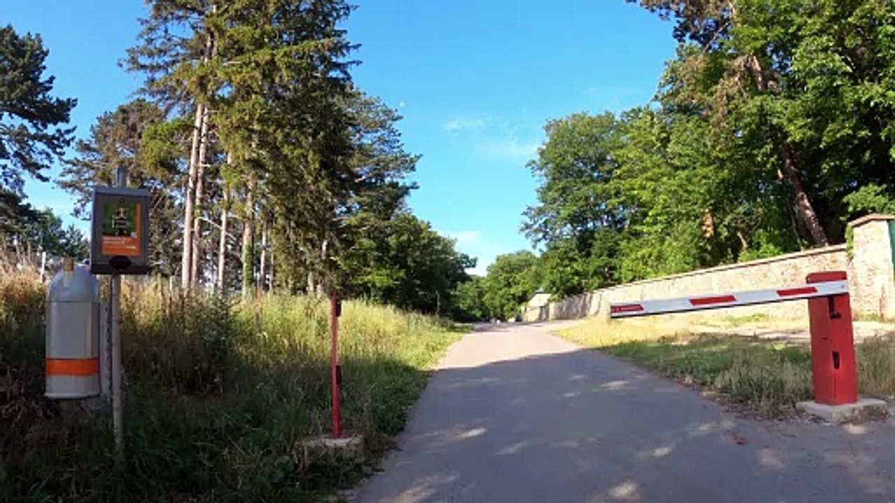 Planetenweg: MTB Lainzer Tiergarten-Strecke (8)
