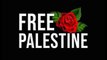 É. Roscha / World Poetry, Samba & Bossa Muses / Mahiba, Nariman, Linda & PFC: Flowers of Palestine!