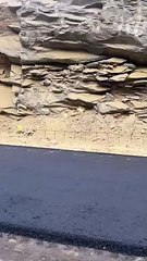 بشرى بعد سنوات الانتظار والمناشدات.. بدء أعمال سفلتة طريق آل يحيى بالداير "فيديو"