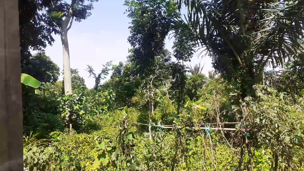 Angin dan panas