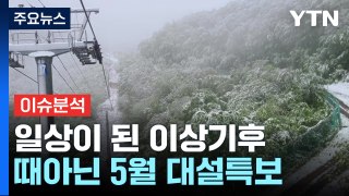 일주일새 '대설특보→무더위'...올여름 날씨 전망 / YTN