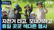 자전거 타고, 모내기 하고...색다른 경험으로 휴일 '만끽' / YTN