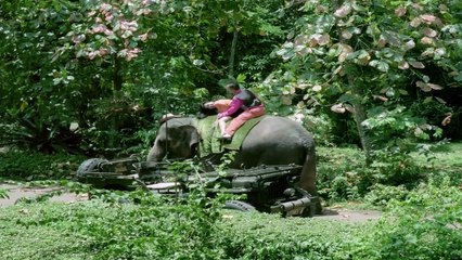 Makelar Kodok Untung Besar (1990)