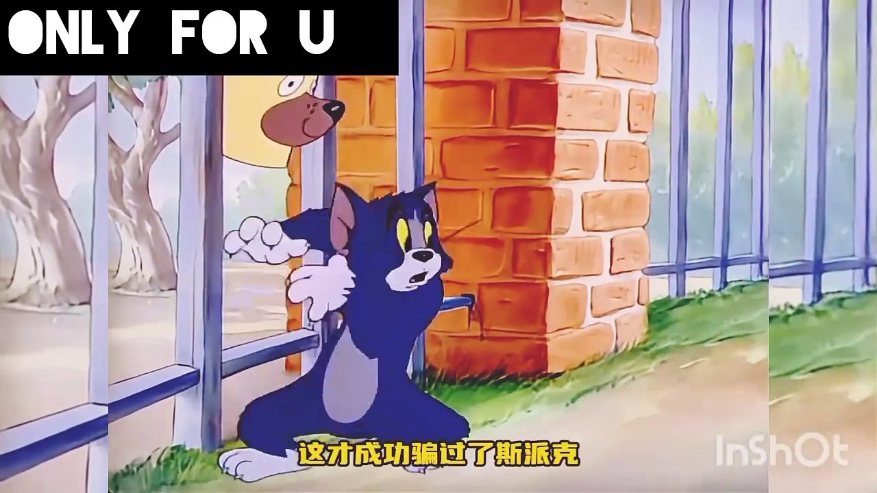 Tom Vs Jerry Mischievous
