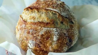 Amazing Sourdough Bread Recipe