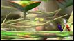 Super Smash Bros. Brawl online multiplayer - wii