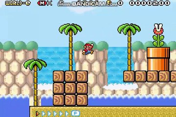 SMB3 (SMA4) - Tropic Oasis