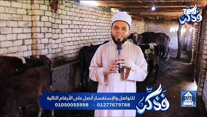 جهود مؤسسة "فذكر" في أعمال الخير ومساعدة المحتاجين