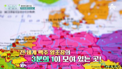 의외로 탈모 개선에 도움이 된다는 맥주 효모?