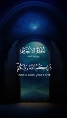 Quran Best Tilawat amazing voice ❤