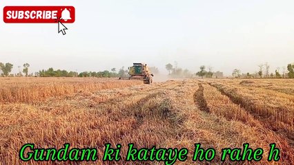 Village Life | Agriculture | Vlogs