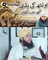 Islamic wazif || Islamic wazif