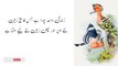 Dolat Mand Kardeny Wali Aurat Ki Nishani|| Hakeem Luqman Best Urdu Quotes || Quwat Islam