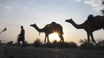 How did the people of Hazrat Dawood (as) become monkeys? | hazrat dawood as ka waqia |#qasasulislam