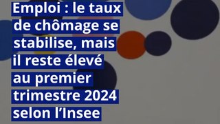 Emploi : le taux de chômage se stabilise, mais il reste élevé au premier trimestre 2024 selon l’Insee