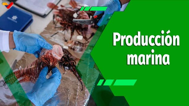 Cultivando Patria | CONPPA trabaja en la pesca y comercialización de productos del mar