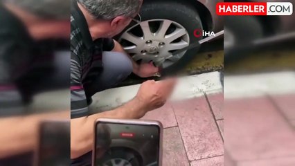 Arabadaki yılanı korkusuzca çıkardı, görenler hayret etti