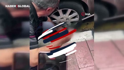 Arabaya giren yılanı ustaca çıkardı, görenler şaştı kaldı