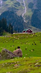 Feel The Vibe   (Sukoon)