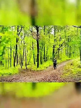 Osman and orhan bey ♨️arrest mangol ️commander | kurlus Osman series