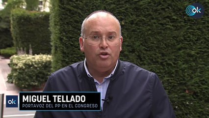 El PP acusa a Sánchez de atacar a Milei para «movilizar al electorado al que ya no convence el PSOE»