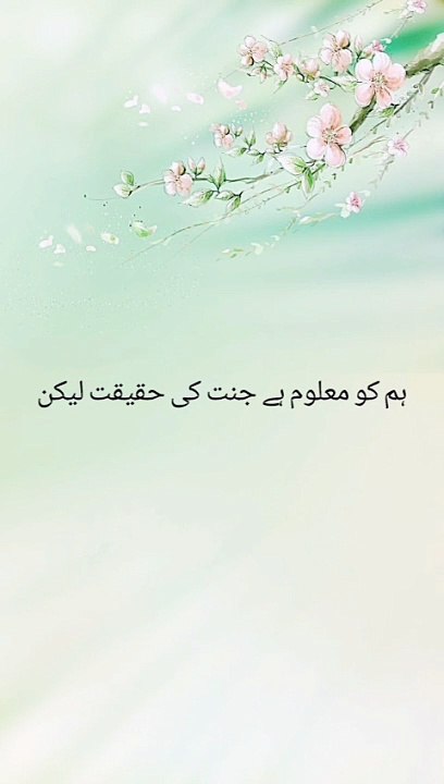 Galab lion