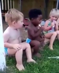 Hilarious Video Compilation