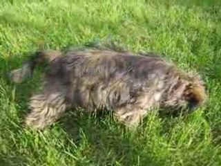 l'art d'enlever ses couettes