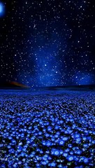 Haram Things in islam|strictly haram in islam