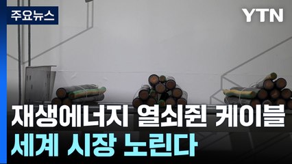 'AI·재생에너지' 열쇠 쥔 '케이블'...세계 시장 노린다 / YTN