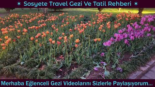 7/24  Sosyete Travel Official Audio 4Kᴴᴰ